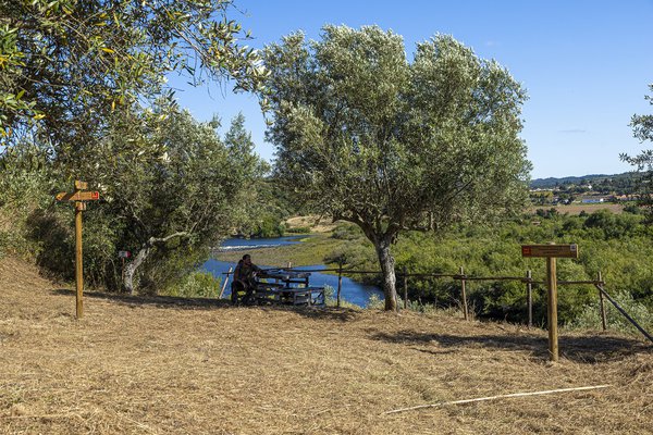 Parques e jardins