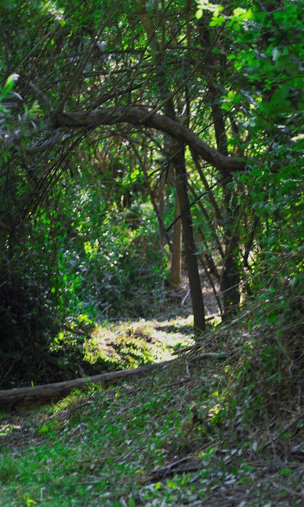 Projeto Natureza e Património em (M)Ação